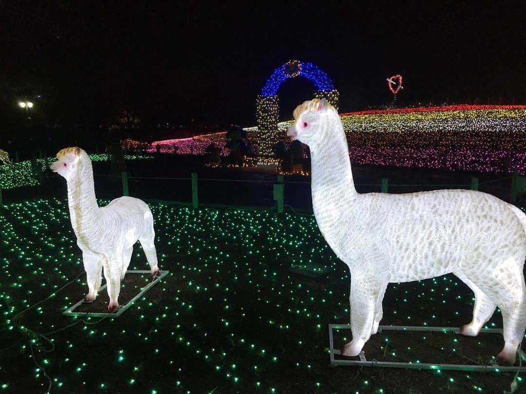 TOBU RAILWAY（東武鉄道）さんのインスタグラム写真 - (TOBU RAILWAY（東武鉄道）Instagram)「. . 🚩Tobu Zoo 🚩東武動物公園 🚩도부동물공원 . . [Winter Illuminations at Tobu Zoo] . Tobu Zoo, approximately 1 hour from Asakusa, is one of popular zoos in the Kanto region. 1,200 animals in total of 120 species are there, including white tigers. They also have an amusement park, recommended for families and couples.  You can enjoy illuminations during winter. Illumination Period: October 26, 2019 - February 11, 2020 (Tues. / National Holiday) *A separate admission fee will be charged for the illuminations. http://www.tobuzoo.com/global/english/ . . 【도부동물공원 겨울 일루미네이션】 . 도부동물공원은 아사쿠사에서 약 1시간이면 갈 수 있으며 간토 지방에서 인기 있는 동물원 중 하나입니다.  백호랑이 등 전체 120종류 1200마리의 동물이 사육되고 있습니다.  유원지도 병설되어 있어, 가족 동반객이나 커플에게 추천하는 장소입니다.  겨울에는 일루미네이션을 즐길 수 있습니다.  일루미네이션 개최 기간:2019년 10월 26일~2020년 2월 11일(화・공휴일) ※일루미네이션 입장에는 별도 요금이 필요합니다.  http://www.tobuzoo.com/global/korean/ . . #tobujapantrip #japan #saitama #tobuzoo #illumination #asakusa  #japanlandscape  #photo_shorttrip #photo_travelers #snowjapan #jp_gallery #instatravel #worldcaptures #nationalgeographic#visitjapan #travelingram #bestjapanpics #lovejapan #japan_of_insta #art_of_japan_  #beautifuljapan #cooljapan #도부동물공원 #일본체험 #일본여행 #포토제닉 #사무라이」11月18日 17時08分 - tobu_japan_trip