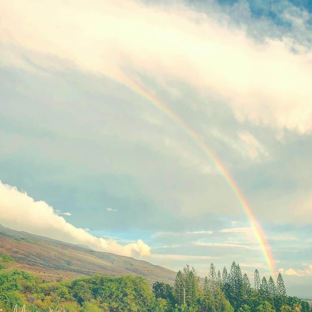 山崎美弥子さんのインスタグラム写真 - (山崎美弥子Instagram)「Day of Rainbow  虹の日。」11月18日 15時59分 - miyakoyamazaki