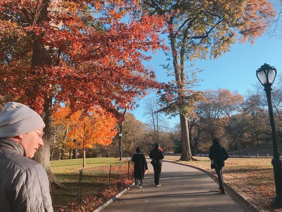 伊瀬茉莉也さんのインスタグラム写真 - (伊瀬茉莉也Instagram)「🍁 * 今年の秋、紅葉見たいなって思ってたから見れて良かった☺️ 朝のセントラルパーク、最高でした！ お散歩してる犬🐶たちが飛び跳ね、走り回り、見てるこっちが嬉しくなるぐらい生き生きしてた🤩🌈✨ * #newyork #newyorkcity  #centralpark #america  #朝の散歩」11月18日 16時12分 - mariya_ise