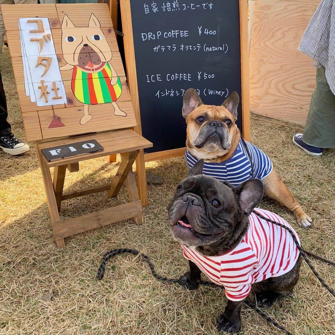 trs0609のグルメインスタ