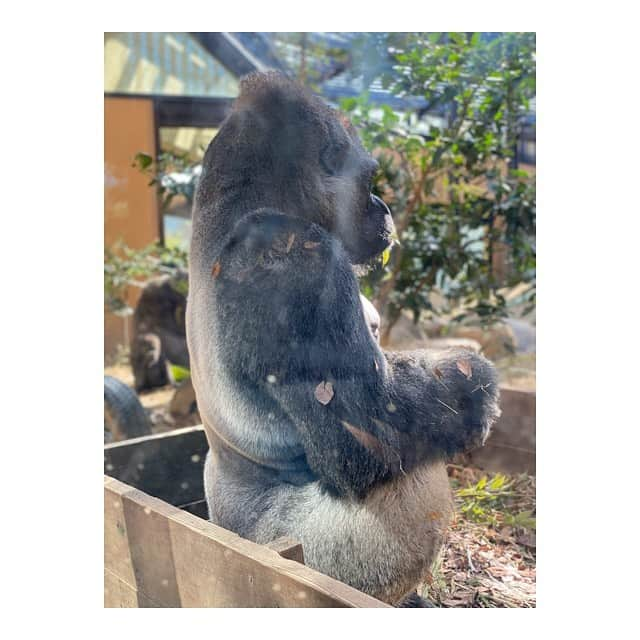 中山こころのインスタグラム