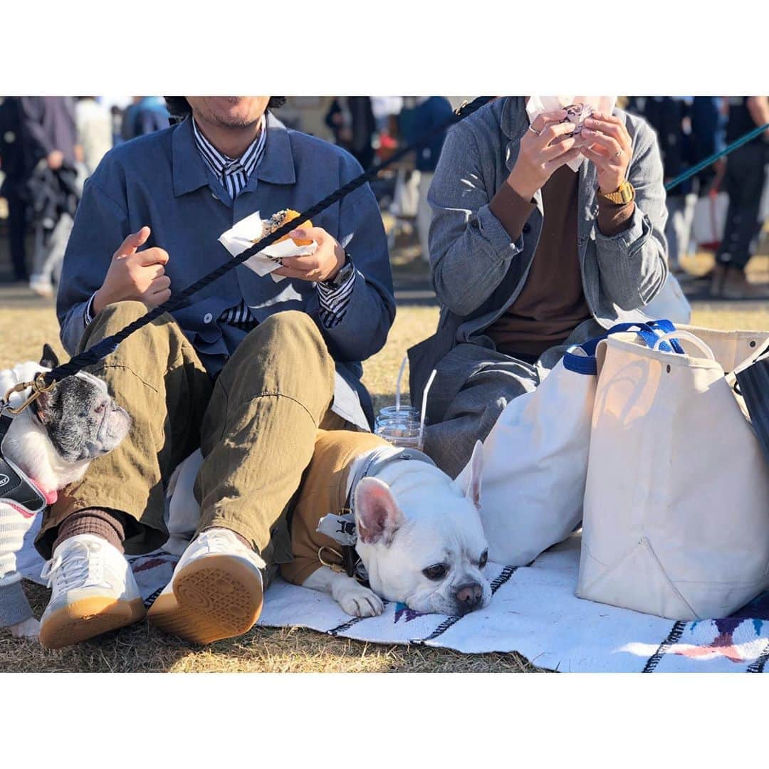 trs0609さんのインスタグラム写真 - (trs0609Instagram)「. . . ベンぞーおトーラ👓と .たくさんの可愛い子ちゃん達❤️ . . お会いできた皆さま楽しい一日をありがとうございました😊💕 . . #frenchbulldog #frenchies1#frenchieworld #redfawn #フレンチブルドッグ #フレブル#フォーン」11月18日 16時48分 - trs0609