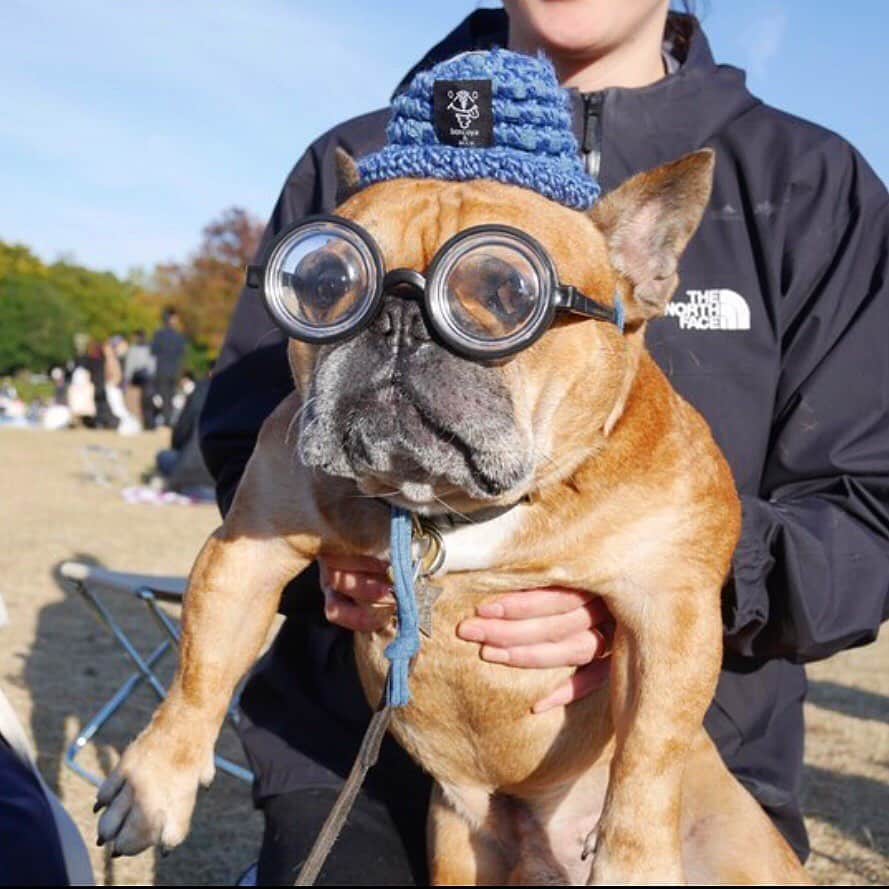 trs0609のグルメインスタ