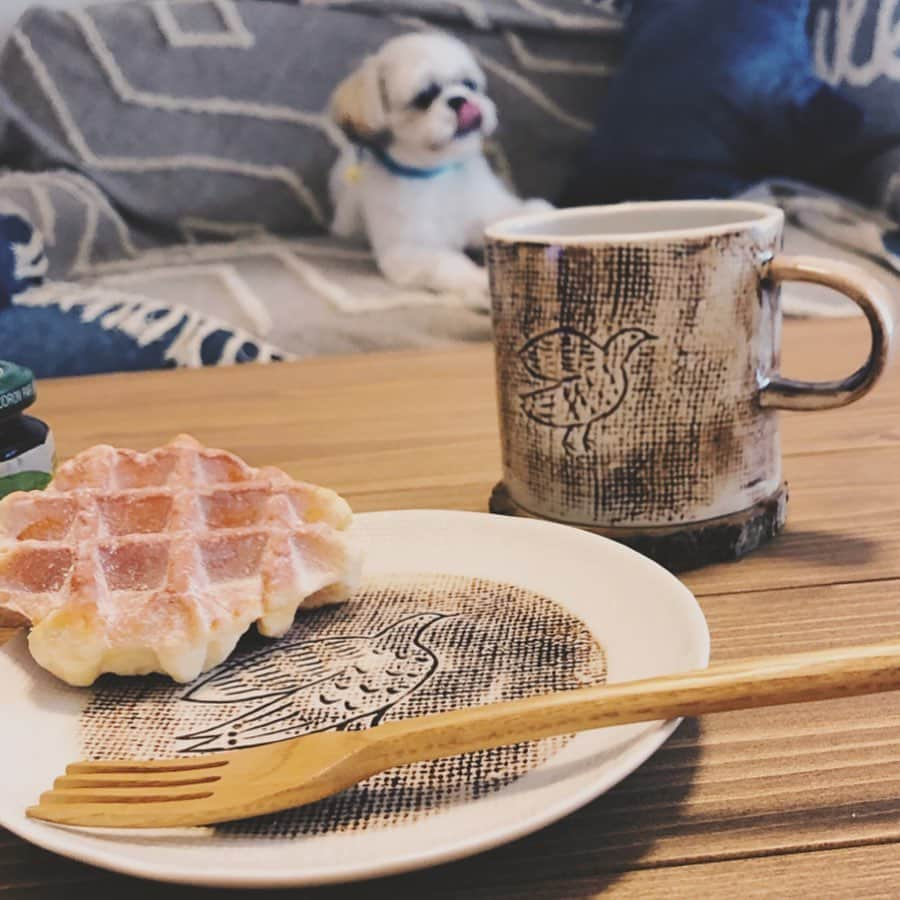 chersage / シェルサージュのインスタグラム：「Bird Mug & Plate 🕊  手描きの鳥のイラストがなんとも可愛い、マグとプレート。 絵付けの具合いがひとつずつ違うため、ひとつひとつの表情の違いを楽しめます🌲  朝ごはんや休憩のおともに。プレゼントにも喜ばれます💐  Mug マグ ￥990（税込） Plate お皿 ￥1,320（税込）  #chersage #シェルサージュ #テーブルコーディネート #onthetable #newitem #キッチンインテリア #キッチン雑貨 #お皿 #器 #犬のいる暮らし#roomideas #doglover #tablescapes #animalgoods #セレクトショップ #暮らし #丁寧な暮らし #雑貨 #テーブルウェア #インテリア #動物マグ #鳥グッズ #鳥 #鳥柄 #犬 #朝食 #ライフスタイル #プレゼント #贈り物」