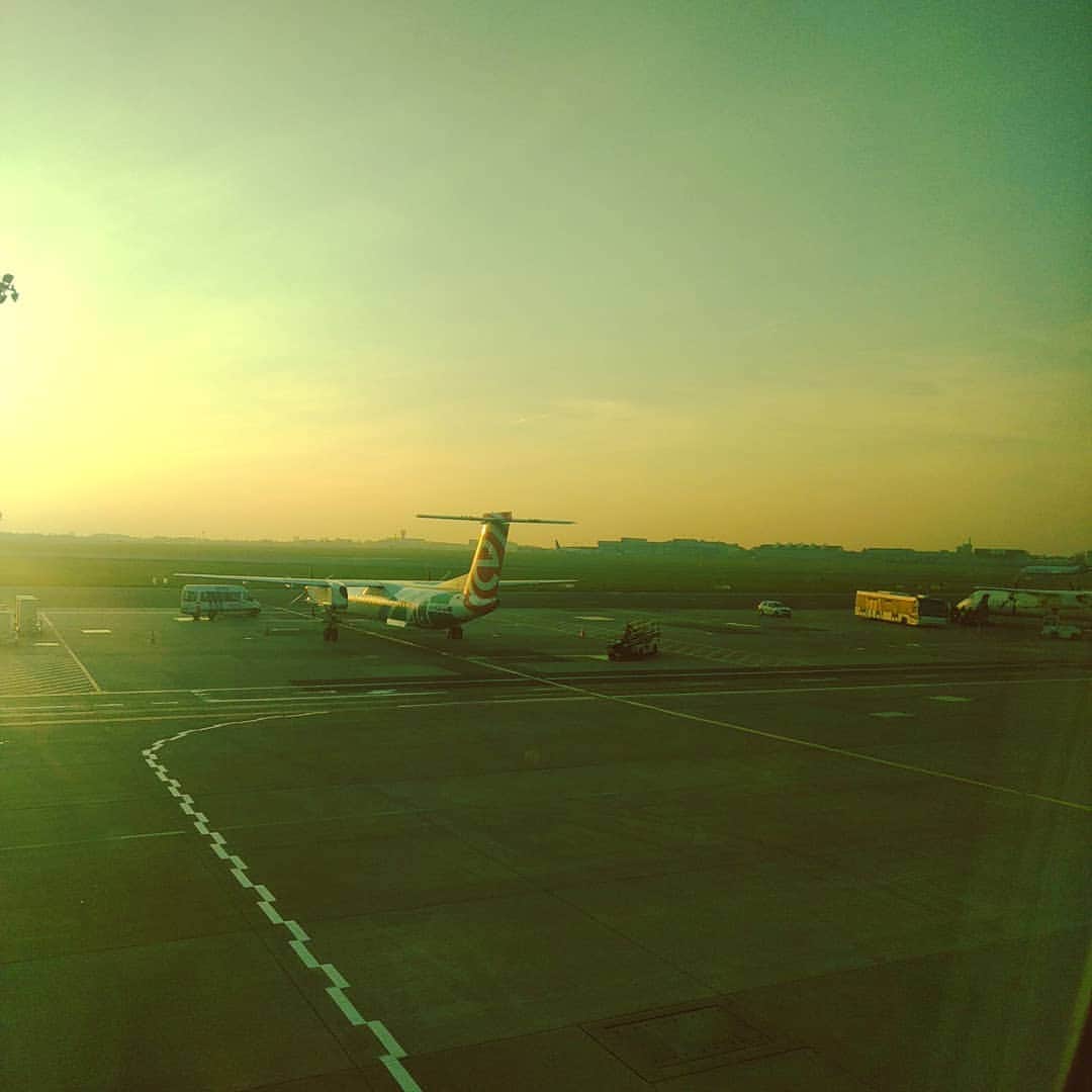 ポーランド政府観光局 ZOPOT w Tokioのインスタグラム：「夕暮れの #ワルシャワ空港  #chopinairport  #ショパン空港 #もっとポーランド。 #©miyuki_ishikawa2019」