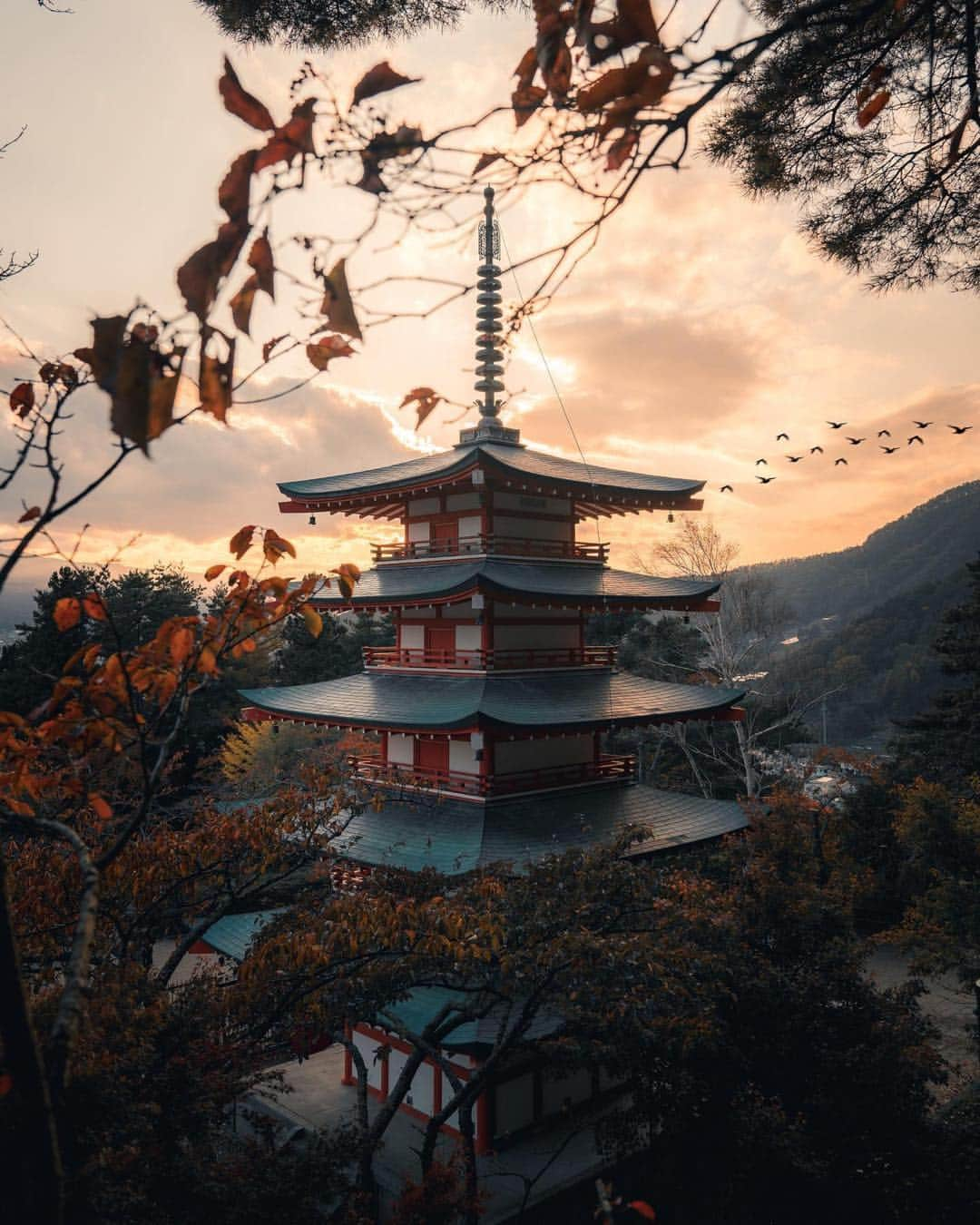 Valiant Language Schoolさんのインスタグラム写真 - (Valiant Language SchoolInstagram)「• 📷: @ali.yokota • • 📍: Chureito Pagoda, Yamanashi Prefecture | 山梨県新倉山忠霊塔🇯🇵 • Use #valiantjapanese for feature 📸 .」11月18日 9時43分 - valiantjapanese