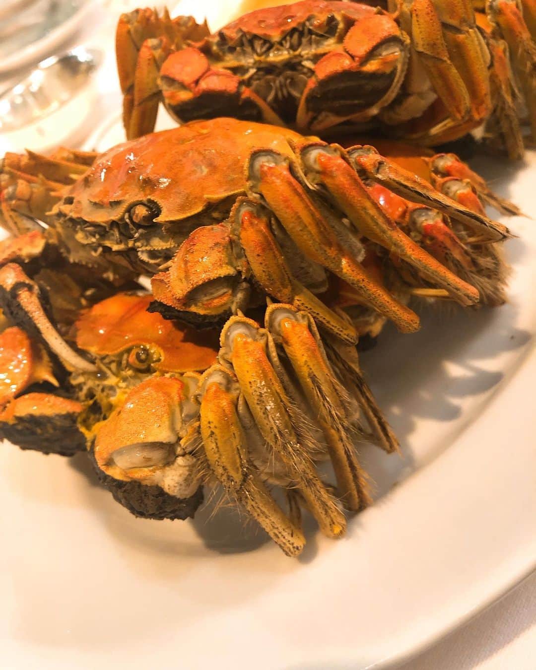 琥珀うたさんのインスタグラム写真 - (琥珀うたInstagram)「. . 上海蟹！ かに！かに！！かに！！！🦀 すっごい美味しかった🤤 . . #crab #かに #上海蟹 #蟹 #shanghai  #shanghaicrab #dinner」11月18日 9時53分 - uta0214khk