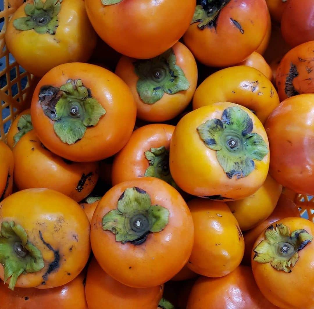 Sunshine Juiceのグルメインスタ