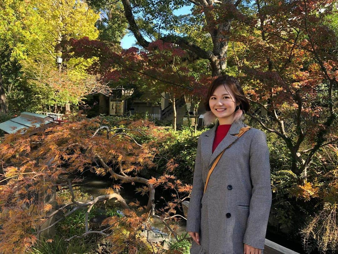 桜帆ゆかりさんのインスタグラム写真 - (桜帆ゆかりInstagram)「秋晴れの雲ひとつない晴天の日にななちゃんと鎌倉へ☺️🍁 . . お寺を巡ったりお手入れされた庭園を見たり、ひんやりした空気もあってなんだか清々しい気持ちに😌 . . . そして食べてみたかった雲母の白玉🥺食べきるのが惜しくなるそんなおいしさ😭笑 . . この日も朝から晩までななちゃんとずーーっとおしゃべり👭👄素敵なpower chargeでした✨ . . . . . #鎌倉  #紅葉  #明月院  #円覚寺  #雲母  #抹茶白玉あんみつ  #あじさいが咲いてた  #暖冬だから ⁇  #🍁 #🍡」11月18日 10時39分 - chahoroo93