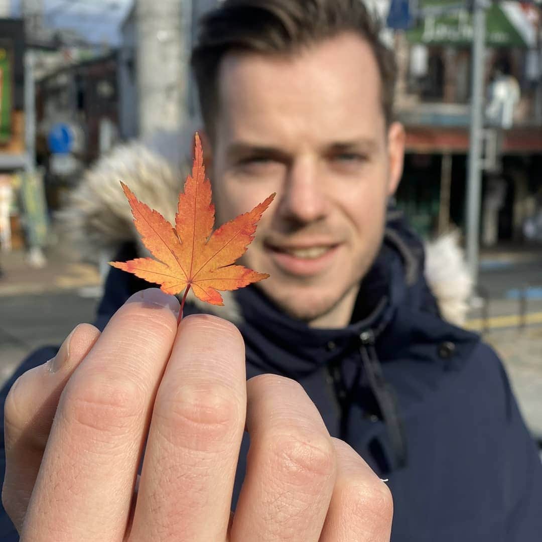 バスさんのインスタグラム写真 - (バスInstagram)「Enjoying Morioka and it's autumn colours 🍁🍁 with these two!  It looks absolutely stunning! 😍  #chiakiinengland #twogaijin #moriokagram #moriokacastle #japan #autumnvibes🍁 #japanautumn #beautiful #redleaves #redtrees #canadagoose #blacklabel #iwate #tohoku #traveling #travelgram #travelphotography #friendgoals #photooftheday」11月18日 10時50分 - basheemskerk_89
