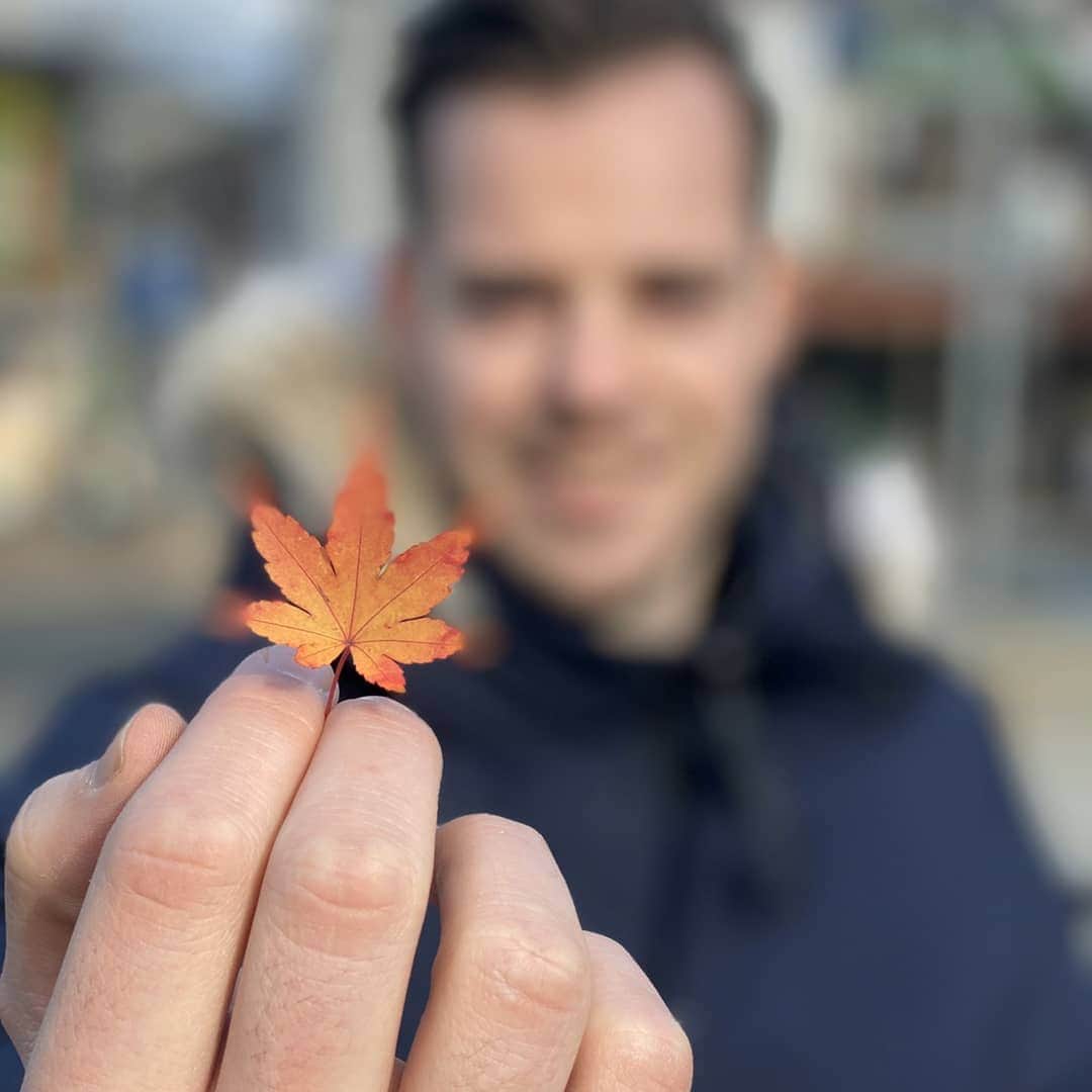 バスさんのインスタグラム写真 - (バスInstagram)「Enjoying Morioka and it's autumn colours 🍁🍁 with these two!  It looks absolutely stunning! 😍  #chiakiinengland #twogaijin #moriokagram #moriokacastle #japan #autumnvibes🍁 #japanautumn #beautiful #redleaves #redtrees #canadagoose #blacklabel #iwate #tohoku #traveling #travelgram #travelphotography #friendgoals #photooftheday」11月18日 10時50分 - basheemskerk_89
