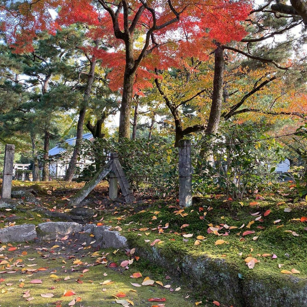 岡田薫のインスタグラム：「奇跡的に2人共寝たので、 しばし夫婦でお散歩。 建仁寺、少しだけ色づき始めてました。 #京都#京都旅備忘録#夫婦デート#子育て#二人育児#女の子ママ#娘と一緒#3歳#0歳7ヶ月#姉妹#姉妹ママ#ママリ#ママライフ#ワーママ#赤ちゃんのいる生活#こどもとおでかけ#子連れ旅行#momlife#welcomebaby#babygirl#happymom#lovemyfamily#kyoto#kyototemple#kenninji#岡田薫」