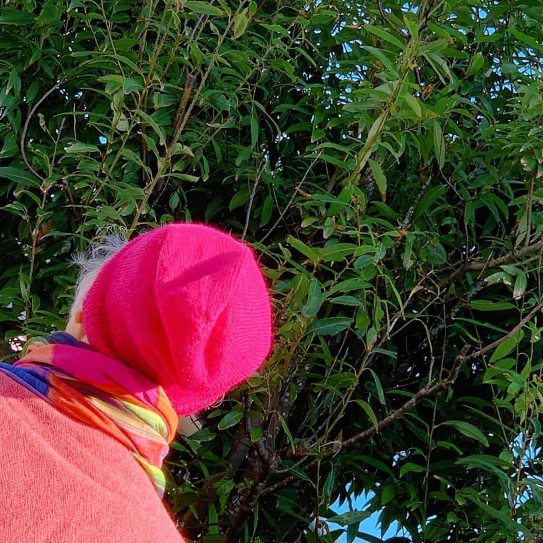 角野栄子さんのインスタグラム写真 - (角野栄子Instagram)「冬のピンクの帽子。 木枯らしも、どーんと恋❣️ . Pink beanie for winter. I'm ready for you, Mr. winter wind!   #魔女の宅急便 #児童文学作家 #ピンクの帽子 #冬の帽子 #シニアファッション #eikokadono #kikisdeliveryservice #agelessfashion #pink」11月18日 11時13分 - eiko.kadono