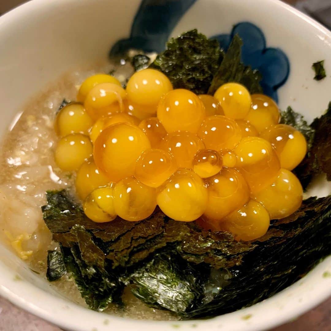 高嶋政宏さんのインスタグラム写真 - (高嶋政宏Instagram)「悶絶💕 #masahirotakashima #seijihattori #suppon #nishigotanda #tokyo #japanesegirl #すっぽんの卵の醤油漬け #すっぽんの煮凍り#焼きすっぽん #すっぽんでの卵と肉で作ったカメボナーラにアルバ産の白トリュフ山ほどがけ  #すっぽんの卵と肝  #しかもアルバ産の白トリュフは一緒に食事したメンバーの持ち込み！塊りを2個！全部イっちゃいましょう！で山ほどがけ！#こんな幸せあるんだな...」11月18日 11時31分 - starless1029