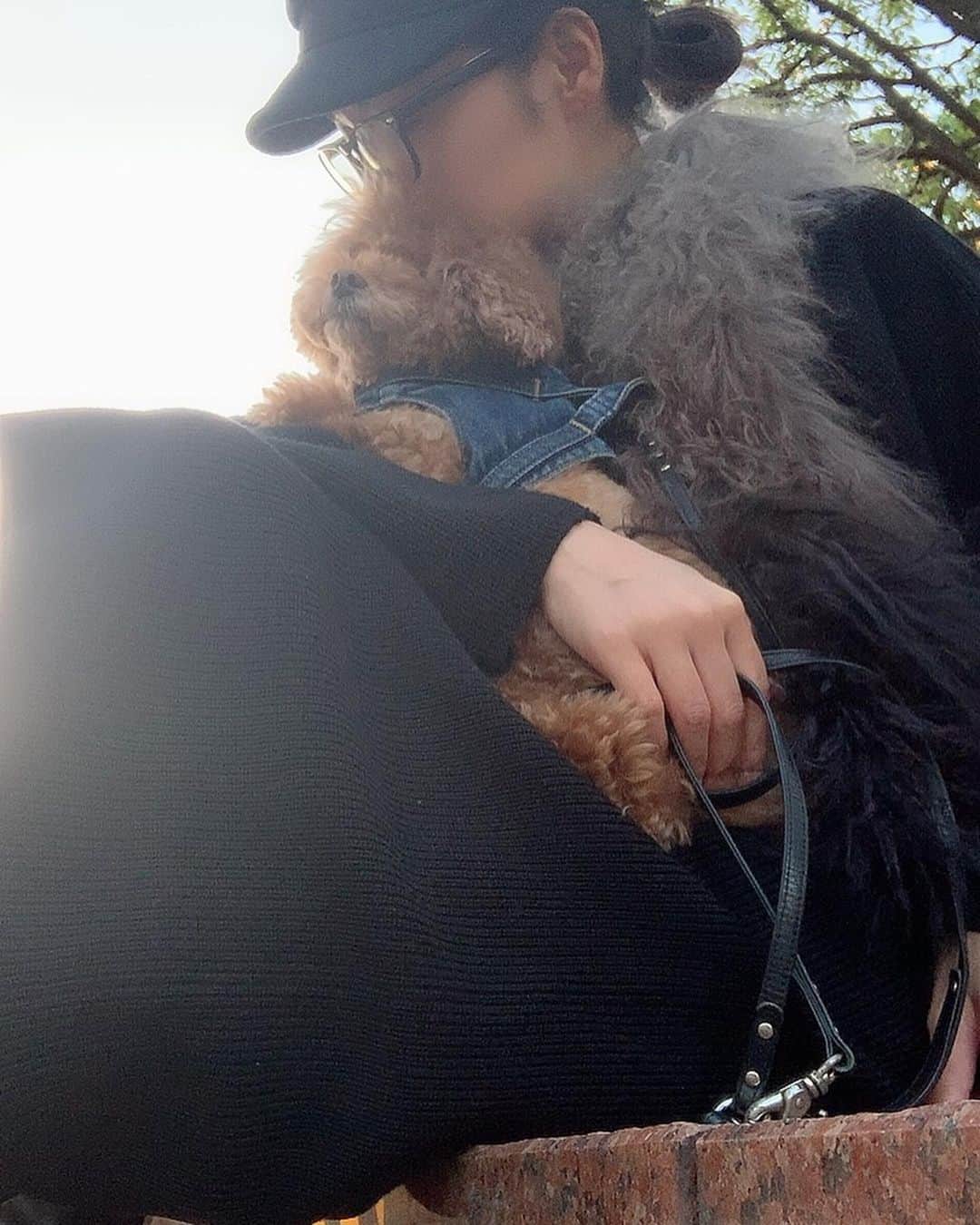 日下裕江さんのインスタグラム写真 - (日下裕江Instagram)「ロルさんとデート❤️ #toypoodle #dating #dogwalk #dogstagram #いぬすたぐらむ　#トイプードル　#ロルスタグラム　#犬の散歩　#デート」11月18日 11時43分 - hiroe___h