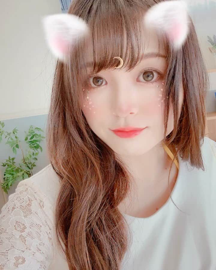 のインスタグラム：「🐈🐾❤#cat #snow . . . #ig_japan#goodnight#撮影会#photography#被写体#bikini#japanesegirl#gravureidol#cosplay#偶像#グラドル #sexy#自拍#偶像#扎心了#性感的#东京#巨乳#性感美女#女优 #性感睡袍 #asian#glamour#gravure#instagood#followｍe#model#instagramjapan」
