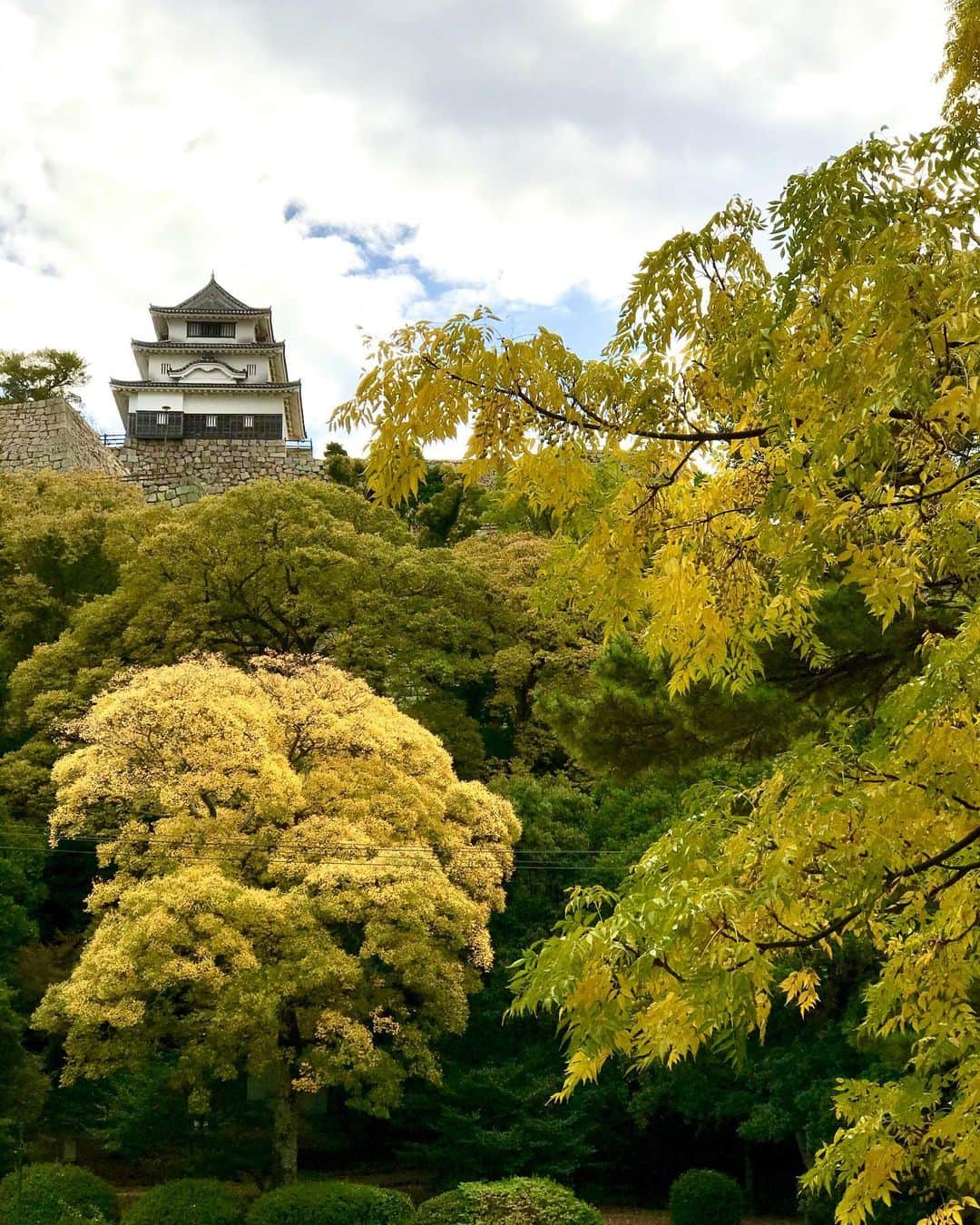 梶剛さんのインスタグラム写真 - (梶剛Instagram)「‪丸亀城も紅葉してるで٩( ᐛ )و‬ ‪見に来てや٩( ᐛ )و‬」11月18日 11時50分 - kajitsuyoshi