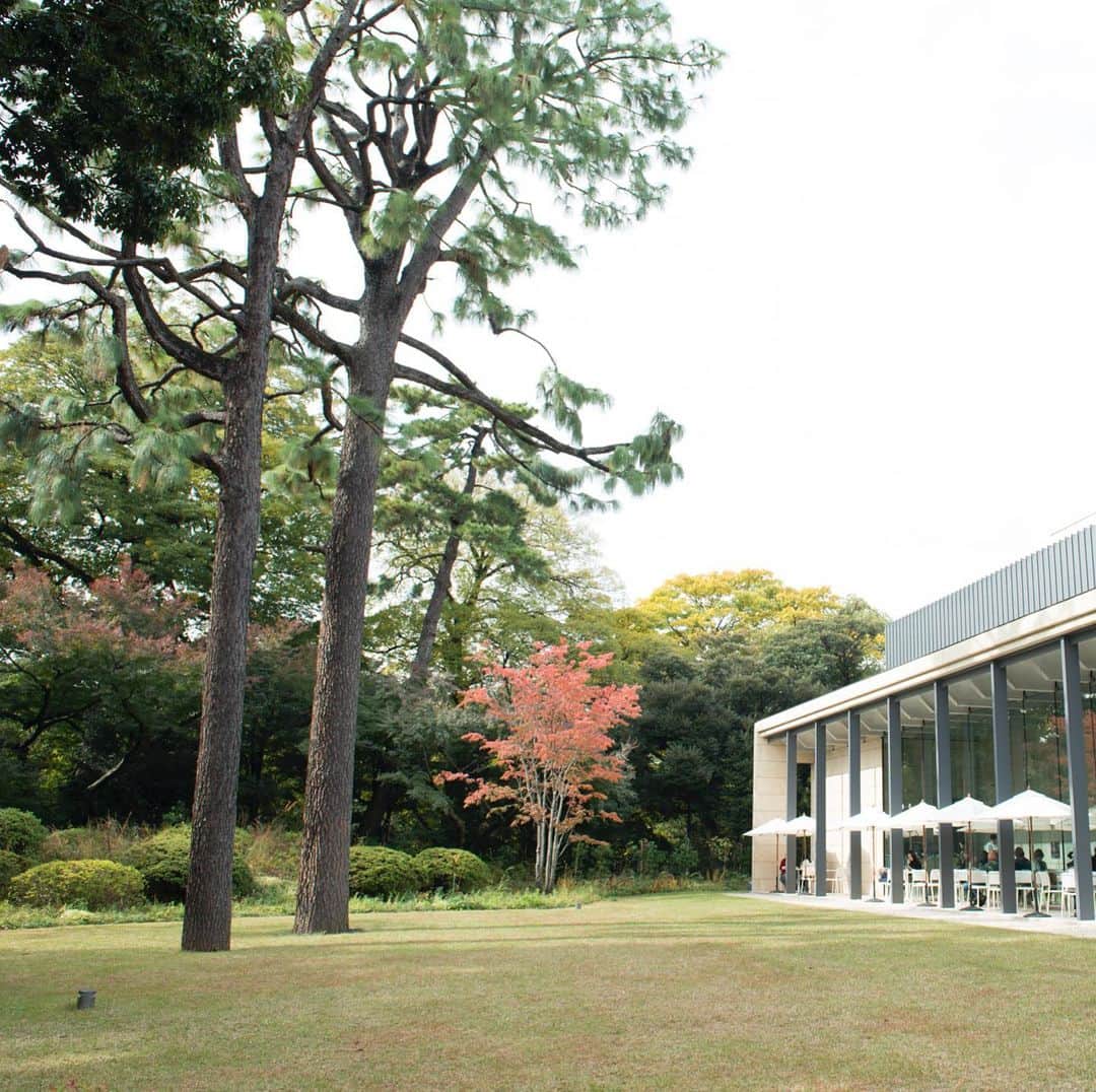 東京都庭園美術館さんのインスタグラム写真 - (東京都庭園美術館Instagram)「【本日開館日】 当館の庭園では、木々の葉が色づき始めています。これから紅葉が進み、きっと美しい景色を見せてくれることでしょう。楽しみです。 今週11月22日（金）23日（土・祝）は20時まで開館します！（入館は19時半まで） 17時以降、学生の方は無料、一般・65歳以上の方は団体料金で入場できます。 #アジアのイメージ展 #東京都庭園美術館 #東京 #日本美術 #夜間開館 #紅葉 #tokyometropolitanteienartmuseum #teienartmuseum #tokyo #Japaneseart #nightmuseum #TokyoTokyoFESTIVAL」11月18日 11時51分 - teienartmuseum