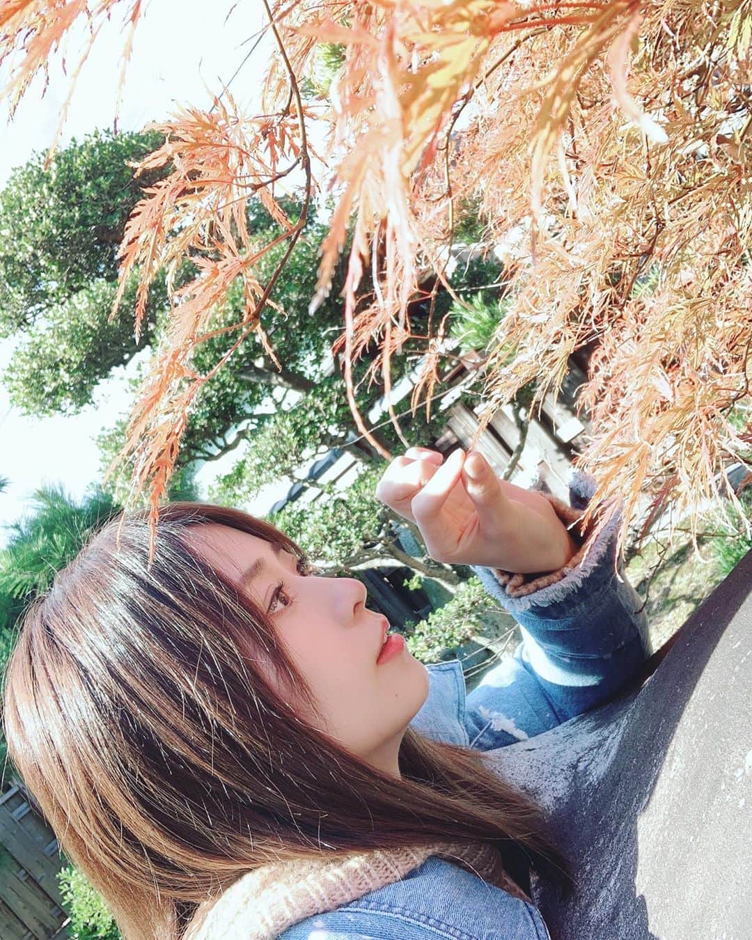 内木志のインスタグラム：「紅葉🍁 #秋 #紅葉 #実家」