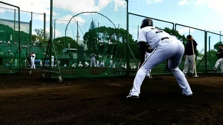 オリックス・バファローズのインスタグラム