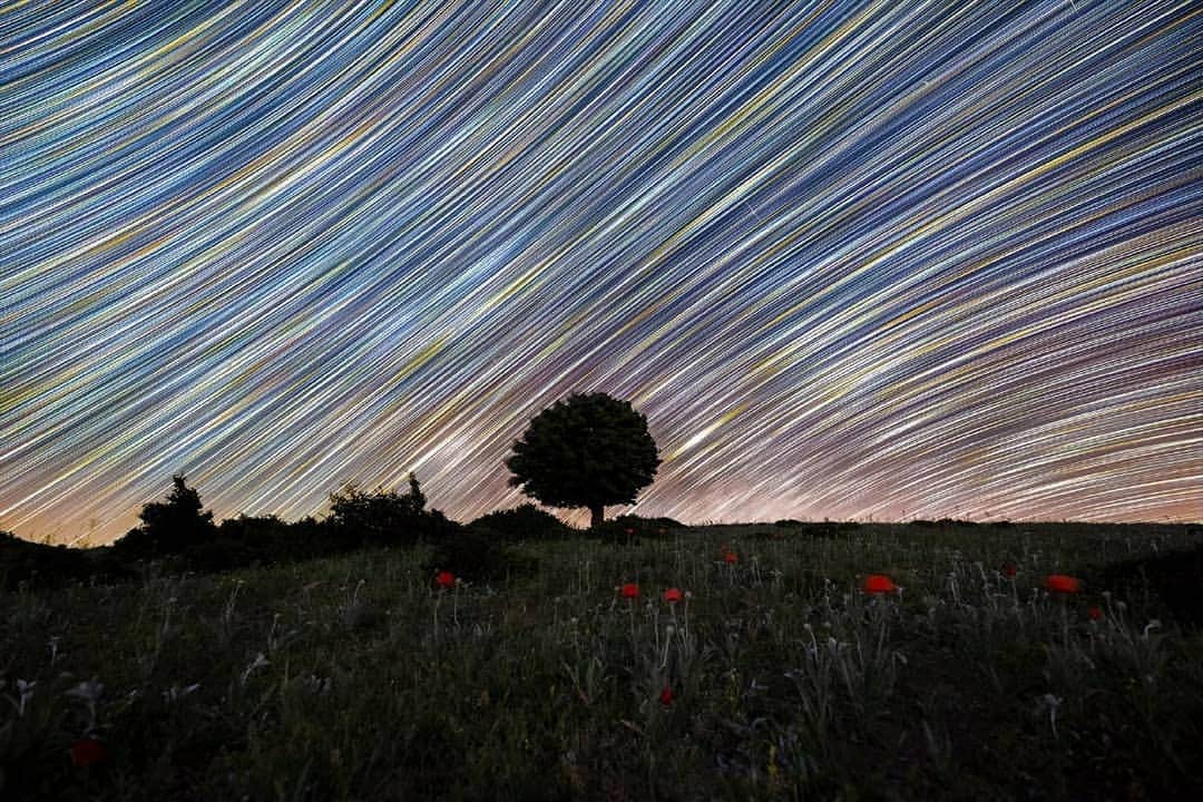 Canon Asiaのインスタグラム：「From star trails 🌠 to the milky way 🌌, the possibilities are endless with astrophotography! Swipe to see @morteza_salehi’s mesmerising 😍 shots of the night sky. . Gearing up for astrophotography? 👊 Visit the link in our bio to learn more on best practices to adopt and common mistakes to avoid. . 📷 Image by @morteza_salehi shot using the Canon EOS 6D  Image 1 | f/2.8 | 25s | ISO 4000 | 15mm Image 2 | f/2.8 | 25s | ISO 4000 | 15mm  Want your photos to be featured too? Tag them with #canonasia or submit them on My Canon Story, link in bio!  #canonasia #photography #astrophotography #stars #milkyway #startrails #startrail #nightsky」