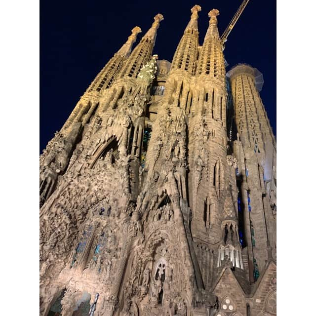 茂木忍さんのインスタグラム写真 - (茂木忍Instagram)「お仕事でスペインへ🇪🇸 . . 茂木にとって初ヨーロッパでした〜！ . 街並みが全部綺麗で 観光もできてよかった💙 . グエル公園は中に入れなかったので 有名なトカゲを直で見れなかったけど とりあえずポスター的なのと写真撮っときました🤳笑 . . #スペイン  #サグラダファミリア  #パエリア美味しかった」11月18日 14時26分 - _mogi_shinobu_