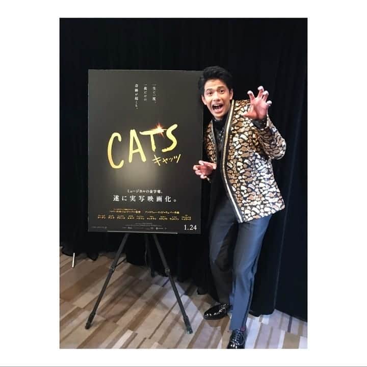 森崎ウィンさんのインスタグラム写真 - (森崎ウィンInstagram)「映画 #キャッツ #吹替版  本日、制作発表記者会見でした。 素敵なキャストとスタッフの皆様に 囲まれ、あの場にいる事の幸せを噛み締めました。 でも、本番はこれからなので 気を引き締めて行きたいです。 頑張ります。 #森崎ウィン  #winmorisaki  #ミストフェリーズ  #を演じます」11月18日 14時54分 - win_morisaki_official