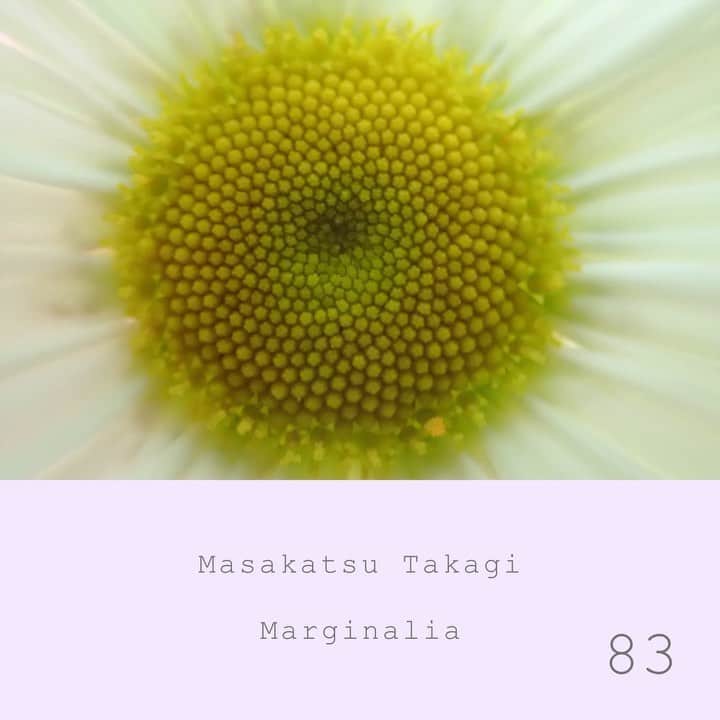 高木正勝のインスタグラム
