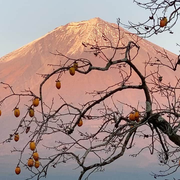 phantastic420のインスタグラム：「. 🤩🤩“Shizuoka” prefecture in Japan is a place where you can see the most “phantastic” Mt. Fuji🗻 in the world.🤩 #富士山 #mtfuji #japan #shizuoka #fujinomiya  #phantastic420photography #mostphantasticmtfuji #selamatpagi  #goodmorning  #おはようございます 😇😇😇😇😇😇😇🗻😇😇 仕事しま〜す😭皆さん良い休日を🤣」
