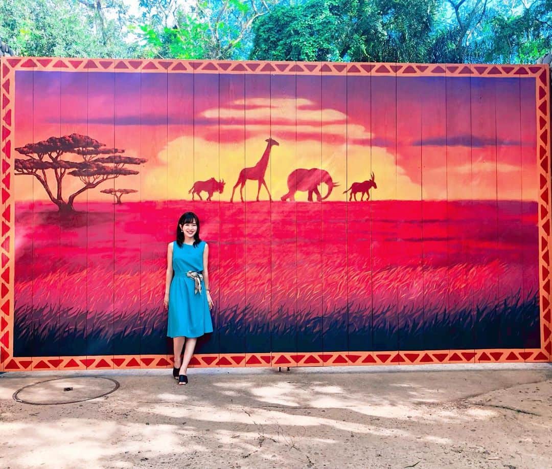 肥田佳菜子のインスタグラム：「2日目は3パークを行ったり来たり🦁🏰🌏 #ディズニーワールド #wdw #wdwresort #disneyworld #フロリダディズニー #海外ディズニー #アニマルキングダム #マジックキングダム #エプコット #ライオンキング #アバター #キャラグリ #ベイマックス」