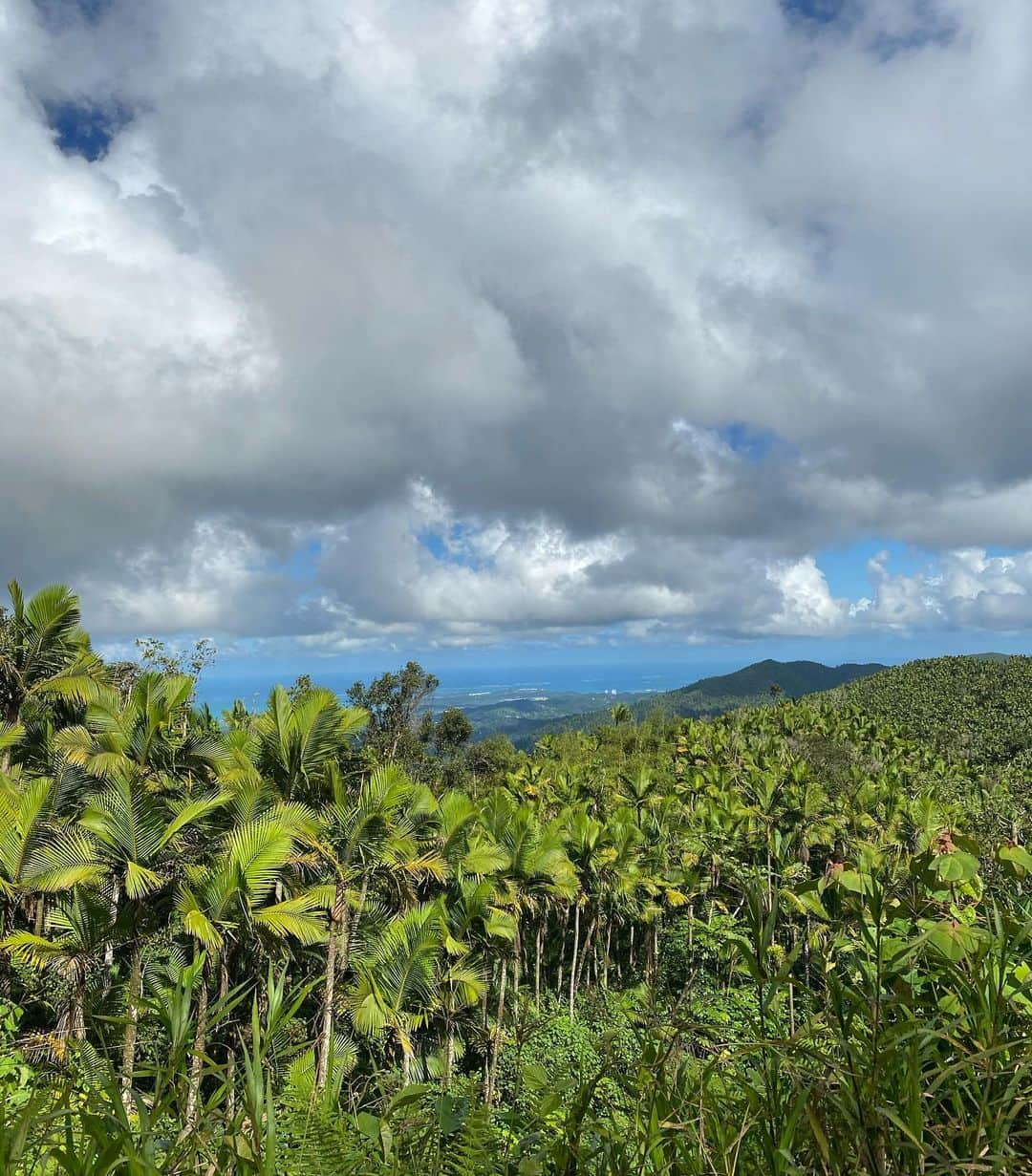 リアンナ・デッカーさんのインスタグラム写真 - (リアンナ・デッカーInstagram)「Exploring the rainforest 🌴🦜 @soul_synergy」11月3日 23時37分 - leannadecker_