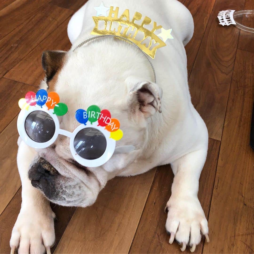 白井空良のインスタグラム：「たくさんの誕生日メッセージありがと😘❤️」