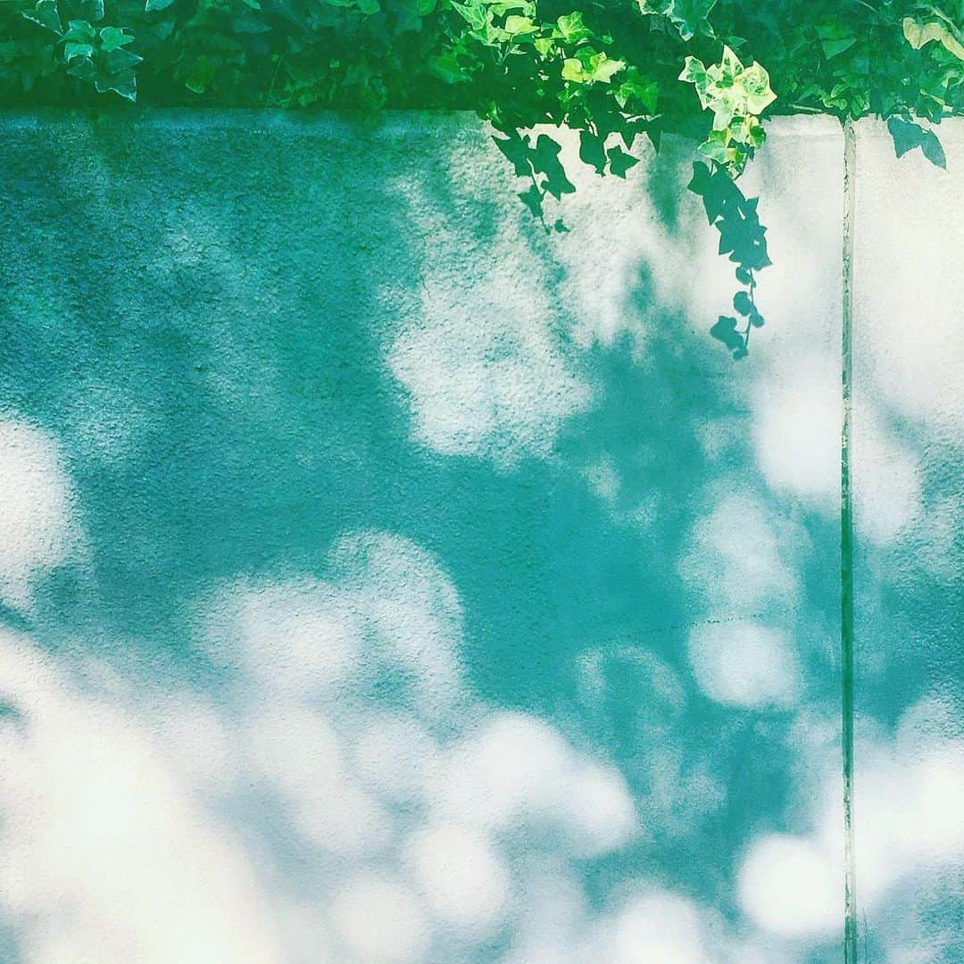 まめのインスタグラム：「あ。 . . 小さな発見★ . #ザ壁部 #Shadowplay #mextures #ihaveathingforwalls .  #indies_minimal #reco_ig #shotoniphone #youmobile」