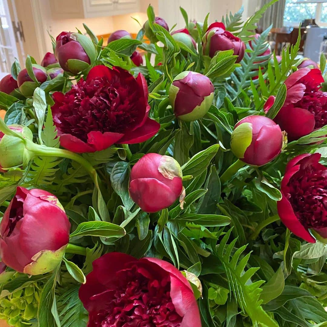 オプラ・ウィンフリーさんのインスタグラム写真 - (オプラ・ウィンフリーInstagram)「Happy Sunday to you all. Don’t think I’ve ever seen burgundy peonies before. Wanted to share. Sending you the same blessings that were just sent to me from @jeffleatham . Card reads.. “Flowers, Just because  life is beautiful.” Here’s to a beautiful extra-hour of sleep, blessed week🌺🌺🌺🌺」11月4日 4時36分 - oprah