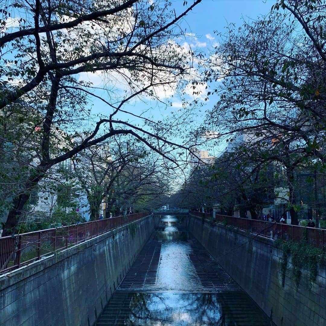 のインスタグラム：「#today #off #walk #目黒川 #feelgood #music #soul #rb #singer #lovelife #instagood #instaview」