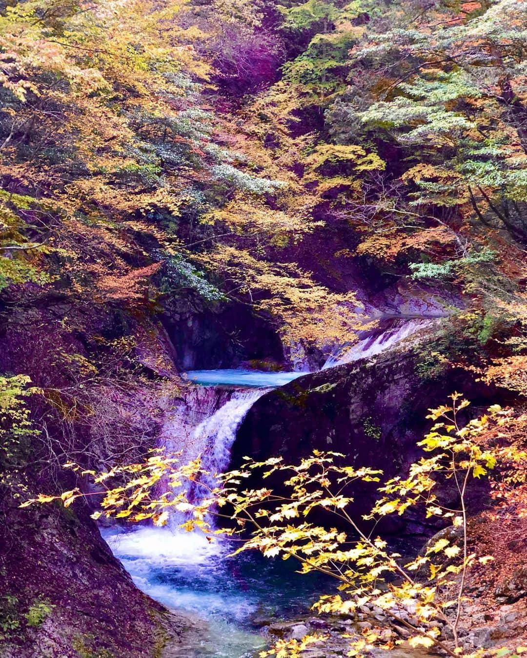 hama_aki_pppさんのインスタグラム写真 - (hama_aki_pppInstagram)「山梨県山梨市#西沢渓谷  Location Yamanasi Japan Nisizawa Keikoku  2019.11.3  11月3日、娘が休みだったので一緒に行って来ました西沢渓谷。　 #滝好き にはたまらない絶景滝のオンパレードで💓💓どれからpostすれば良いか迷うほど😁川の色もソーダ水のような美しい水色でした。 山を登って行くと紅葉も段々と赤く色付き滝とのコラボは美しすぎ😍どこを切っても絵画のようでした。  #日本の絶景  #日本庭園  #滝好きな人と繋がりたい  #おとな旅プレミアム  #紅葉  #秘境  #nature_brilliance  #絶景delic  #はなまっぷ  #七ツ釜五段の滝  #じゃらん花畑  #waterfall  #japanesegarden  #loves_united_japan  #otonatabi_japan  #earth_superior  #ippawards  #inspring_shot  #nature_special_  #top_favourite_shots  #nature_shooters  #naturedotnow  #valley  #絶景スポット」11月4日 17時02分 - hama_aki_ppp