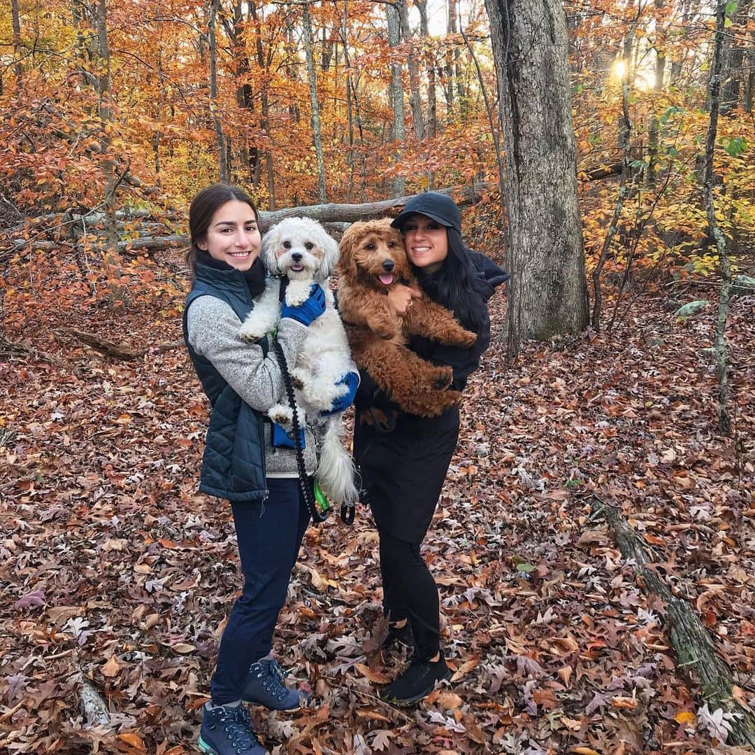 マリッサ・キャステリのインスタグラム：「Sunday Funday! Puppy adventures! . . . . . . *#sundayfunday #puppylove #shichonsofinstagram #fall #trailadventure」