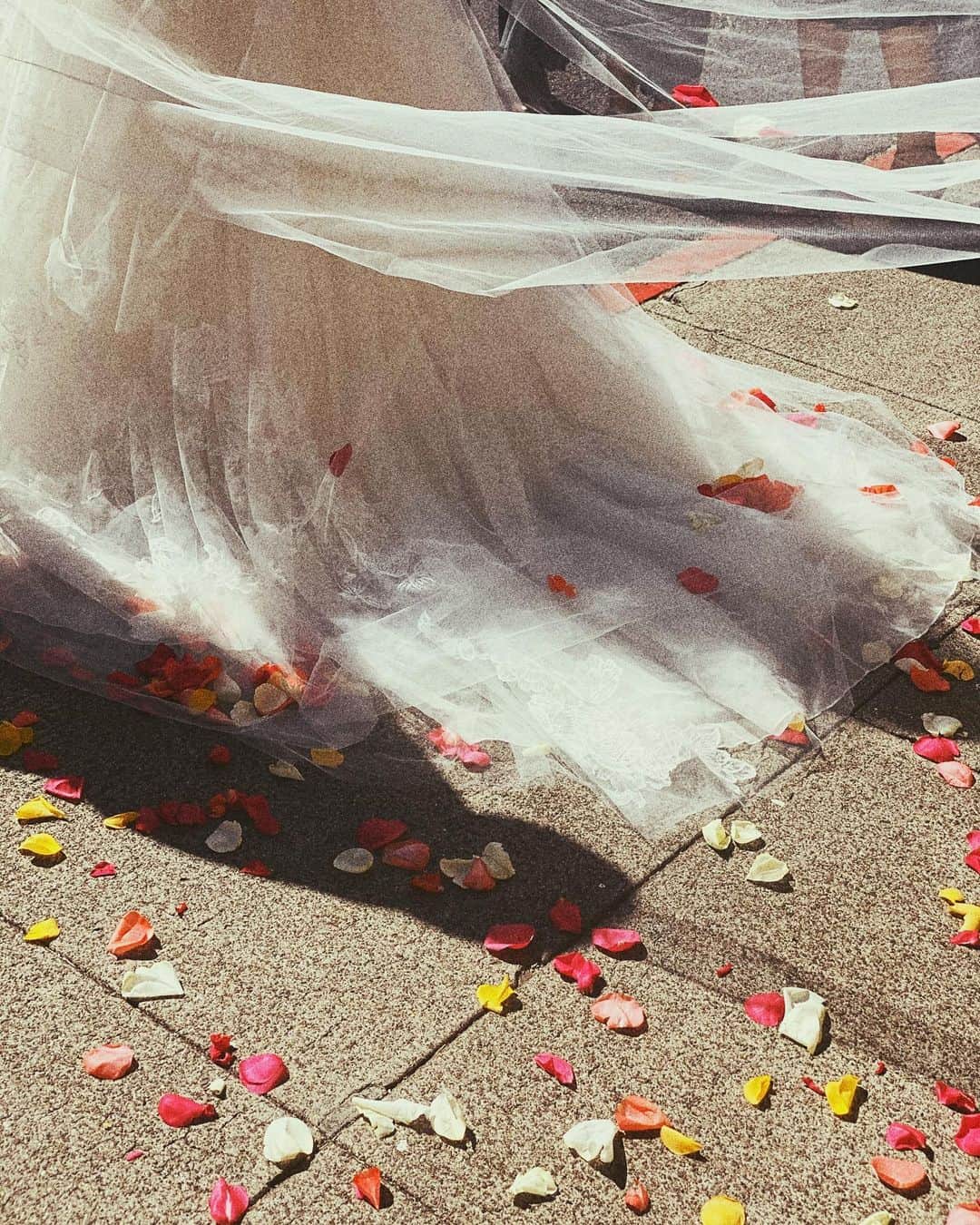 上原歩さんのインスタグラム写真 - (上原歩Instagram)「Congratulations on your marriage❤️🌈💒 ・ #love #hawaii #happy #life #instagood #marriage」11月4日 9時00分 - ayumiuehara