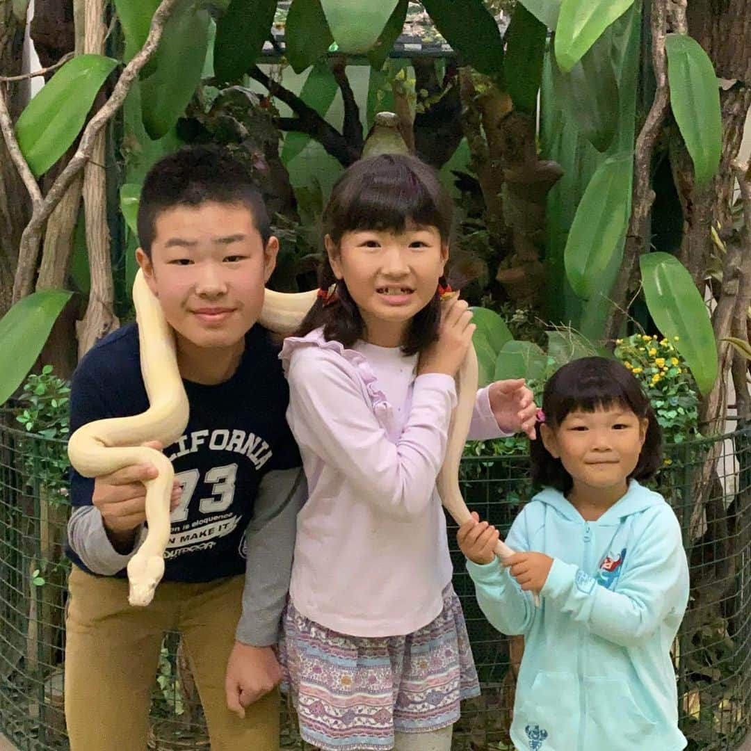 せんももあいしーのグルメインスタ