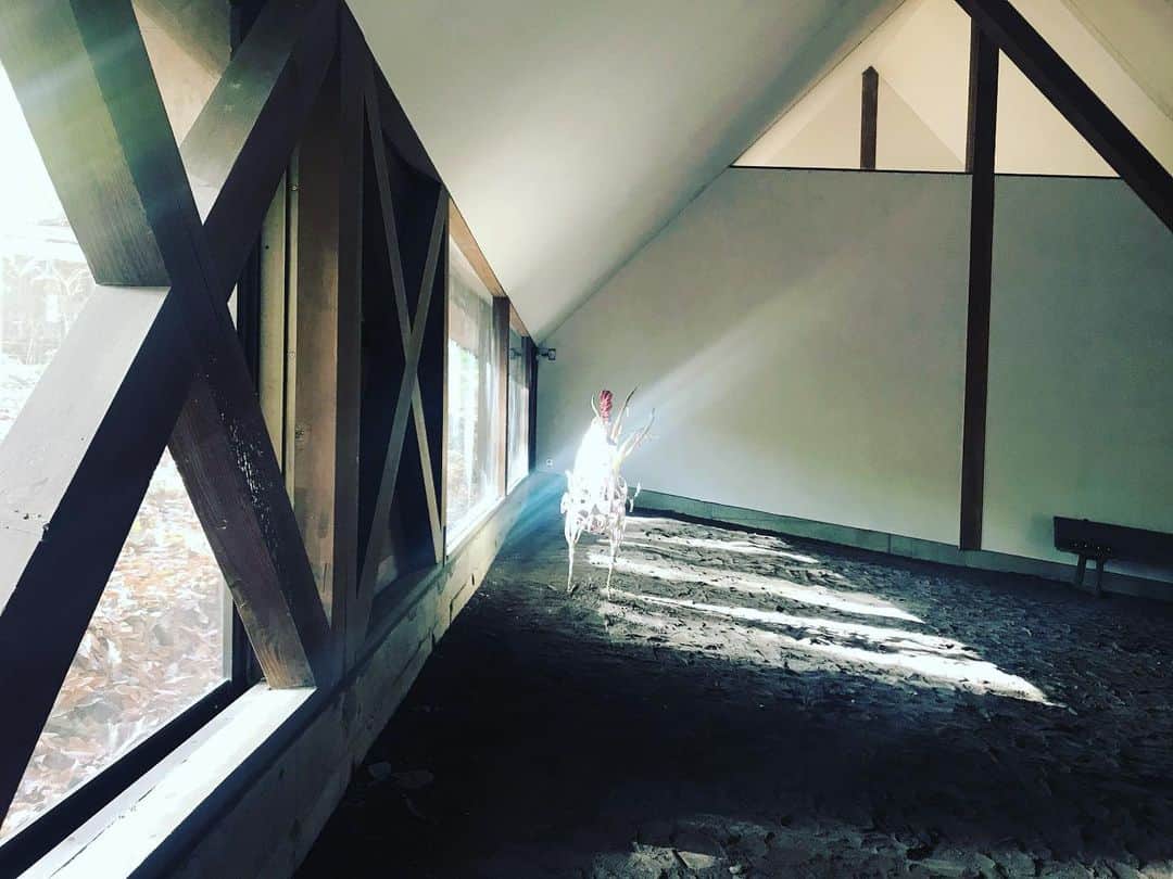 のインスタグラム：「#tanikawahouse #篠原一男 #北軽井沢 信じられない時間を過ごしている気がする。#ブライアンイーノ ambient聴きながら #thechainmuseum  #artsticker」