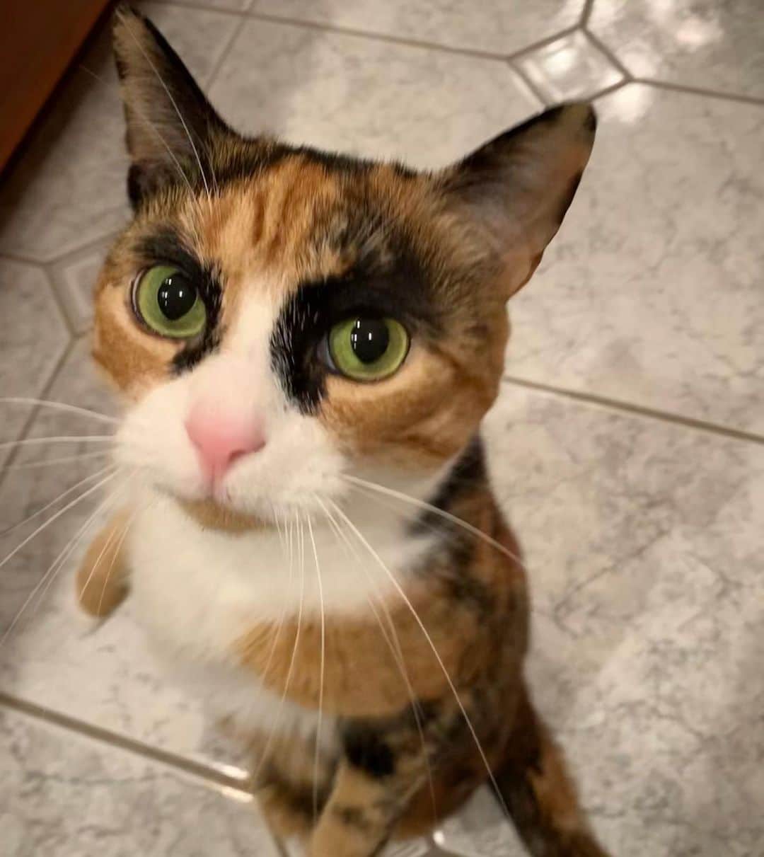 のインスタグラム：「How I feel when it’s dark at 5:00pm 😾」