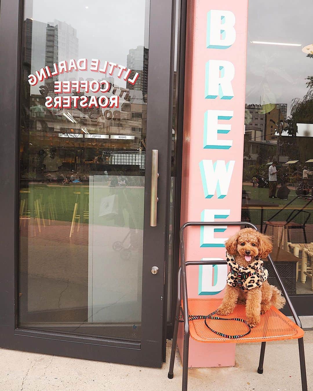 照井和希のグルメインスタ