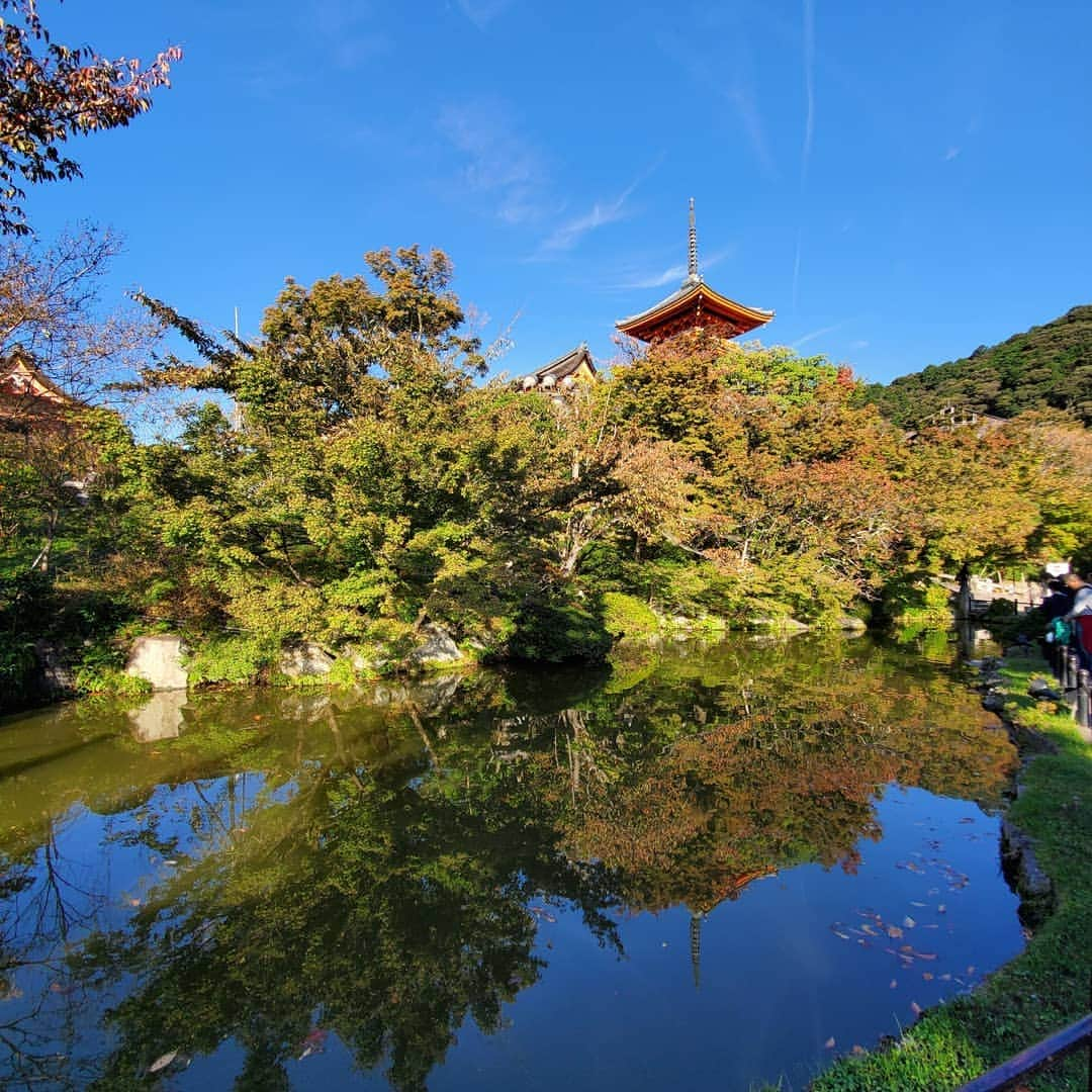 柴田ひかりさんのインスタグラム写真 - (柴田ひかりInstagram)「KYOTO🏯」11月4日 13時22分 - shibatahikari