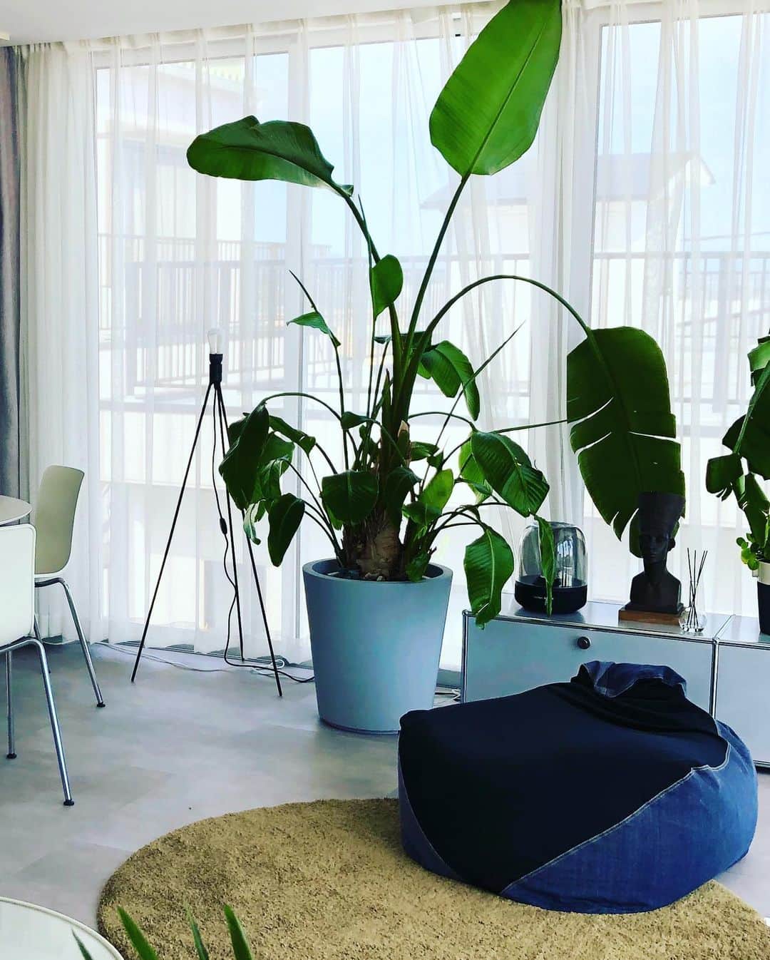 feve casaさんのインスタグラム写真 - (feve casaInstagram)「空間に植物があると生き生きしてくる。とあるデザイナーの家では科学実験用のフラスコを花器として使っていました。センスいい☺️ #グリーンのある暮らし　#植物と暮らす #フラスコ #インテリア」11月4日 13時37分 - feve_casa