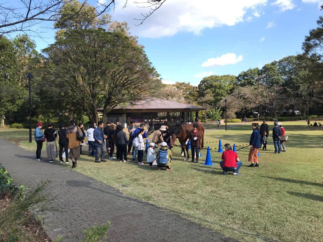 公益財団法人モラロジー研究所のインスタグラム：「柏キャンパスにて馬の餌やり。 麗陵祭にて。  #柏市 #馬術 #景色 #自然 #広場 #麗澤大学」