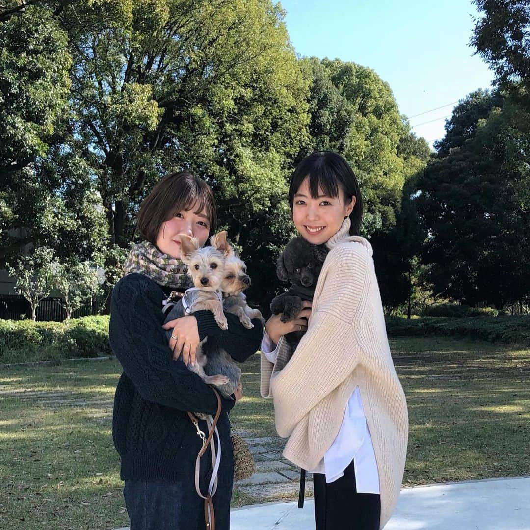 半田麗さんのインスタグラム写真 - (半田麗Instagram)「#今日のもねさん この犬見知り炸裂してる顔よ。。🙃🙃」11月4日 14時18分 - rei__handa