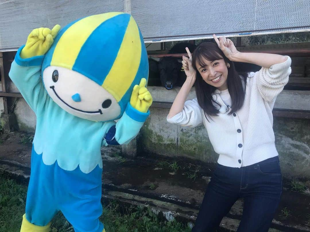 森美紅のインスタグラム：「今日は#ミナモ と一緒に高山の畜産農家さんの所へお邪魔してきました！！ 大きな牛にびっくり🐂と同時に、牛もびっくりしたのか全員ミナモに釘付けでした笑  #岐阜県政ホットライン ぜひご覧下さい😊  #ぎふチャン #ミナモ #ご当地キャラ #ゆるキャラ #ミナモちゃん #森美紅」