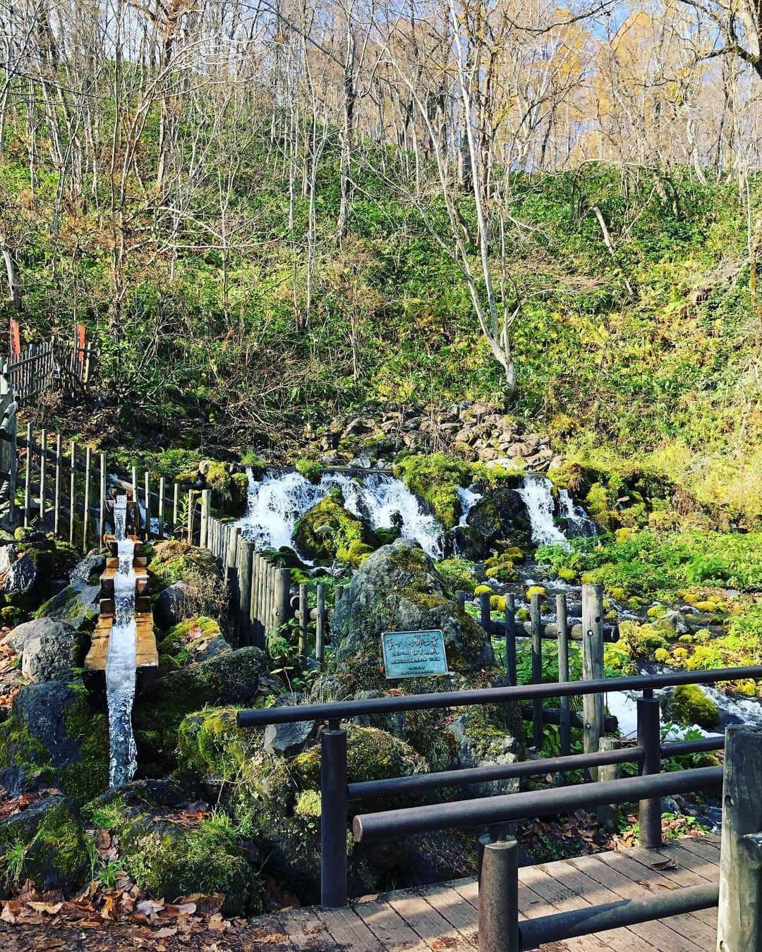 michi さんのインスタグラム写真 - (michi Instagram)「秋の温泉と美味しいもの巡り。北海道は四季折々の景色が楽しめて本当に素晴らしいと改めて実感。 #石窯パン#蕎麦好き #あげいも #定山渓#ニッカウヰスキー」11月4日 15時27分 - michi_jasmine