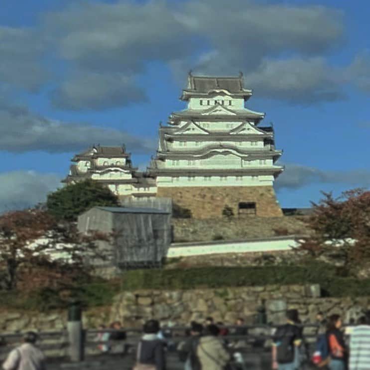 ゴンゾーさんのインスタグラム写真 - (ゴンゾーInstagram)「Himeji castle. #japan #hyougo #Himeji」11月4日 15時42分 - gonzotambourine
