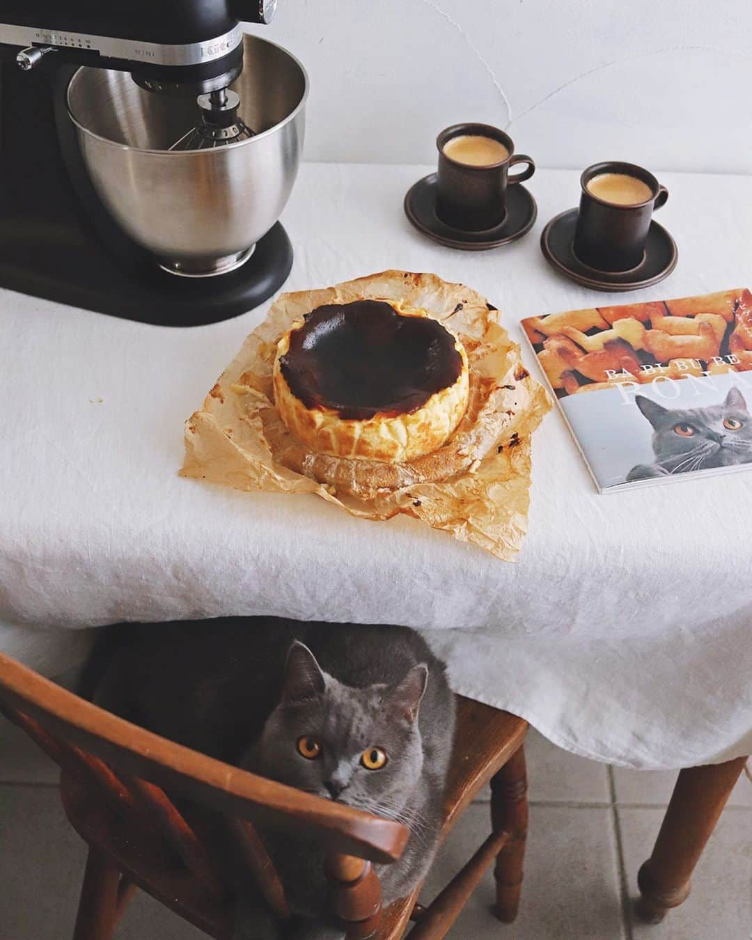 樋口正樹さんのインスタグラム写真 - (樋口正樹Instagram)「Basque cheese cake . おやつは一晩寝かして しっとりと仕上がった バスクチーズケーキと、 コーヒー、＆ボナさん。 . キッチンエイドの黒の ミニスタンドミキサー、 黒いケーキと相性良く、 男性にお勧めな色です。 👉@kitchenaidjapan . 動画はミキサー使って 生地を混ぜてるところ、 昨日の夕方撮りました。 ゆっくり滑らかに混ぜ、 口当たりの良い生地に。 暗くて荒い画質ですが 黒目がクリクリな瞳の ボナさん可愛いでしょ。 . . 11/11は #チーズの日 #バスクチーズケーキ #バスチー #チーズケーキ #バビブベボナさん #キッチンエイド #スタンドミキサー #便利でらくちん #大家族におすすめ #あると便利 #料理好きな人と繋がりたい #basquecheesecake #kitchenaid #kitchenaidjapan #shumai #shiumai #212キッチンストア @kitchenaidusa」11月4日 16時01分 - higuccini